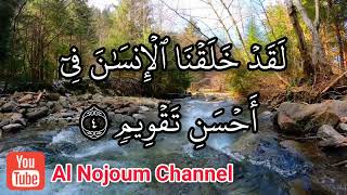 سورة التين مكتوبة - بصوت القارئ الشيخ مصطفى خليفة - Al Nojoum Channel
