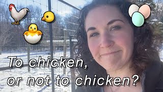 #230 Not to EGG you on... Let's talk Chickens! Are they a good fit for you? What do they need??