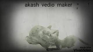 Akash hack