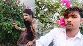 Pavan Raikwar