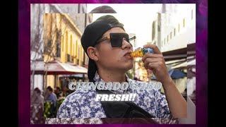 Chingado Gabo- Fresh!! ❄️