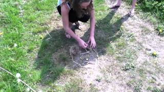 What the Dutch - Nichten en de Paashaas