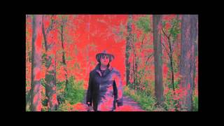 Brown Sun - Maggots