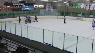 Lawrence Tech Men's D3 Hockey vs WMU D3 | Live Stream 1/28/22