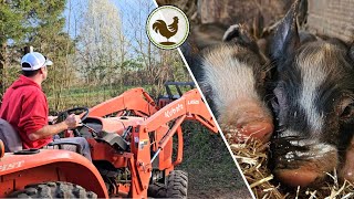 Fence Rows, Little Toes & our Channel Woes
