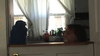 Sad-Sap & Gregor Show