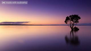 Hildegard - In Evangellum - Carlos Bonell, guitar