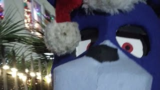 Christmas Parade With Editor LIVE!!!