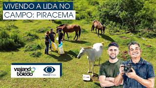 Vivendo a lida no campo: um dia trabalhando na roça em Piracema!