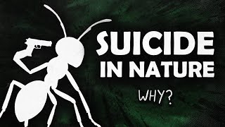 Evolution's Strangest Tactic | Tales From the Bottle