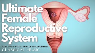 ♫ Ultimate Female Reproductive System! ~ Desired Cycle + PCOS + Balanced Hormones ~ Classical Music