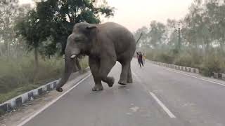 #trandin video #vairal