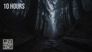 Hollow Pines Ravine — Heavy Rain & Distant Thunder in the Cut | 10 HOURS