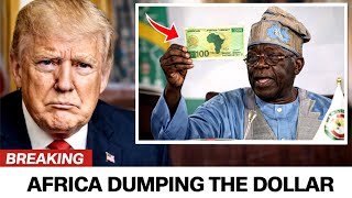 De-Dollarization Is Here! Africa's New Currency Shuts Down Western Control