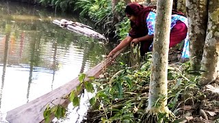 মেয়েটি আজ কি রান্না করবে | Fish Hunting Girl | Best Fishing Video | Fishing World. Part-78