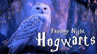 🌙 Fantasy Night at Hogwarts | Relaxing Harry Potter Ambience 💤 Sleep in the Cozy Rain & Soft Owls 🦉✨