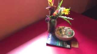 Hedonisia Hawaii Eco Hostel: Jungle Cottage Cleaning Video