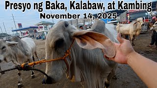 November 14, 2025 - Bentahan ng Baka, Kambing at Kalabaw sa Padre Garcia Batangas