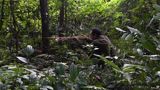 Make a crossbow for self-defense and hunting | LIVING OFF THE GRID | Episode 20