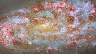 Pan: NGC 1792