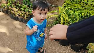 Plantito si Ash