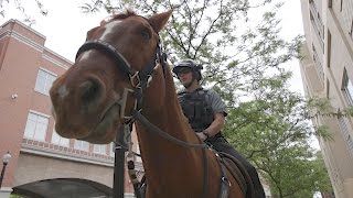 I RODE A MECHANICAL BULL (episode 6)