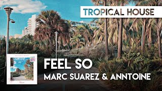 Tropical House | Marc Suarez & Anntoine - Feel So