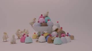 Forgive Me For Not Loving You // Love, Especially First