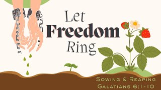 8/3/25 Sermon