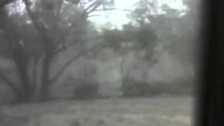 Hailstorm Feb 2010 No 1