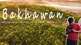 BAKHAWAN - Dji mini 2 Cinematic video | #lettheearthbreathe