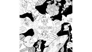 Where the Marsh Plants Grow   Kerry Andrew   Solanum