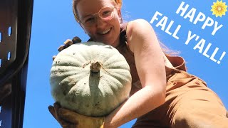 HAPPY FALL Y'ALL | DECORATING, HARVESTING GOURDS, & HOUSEPLANT CARE