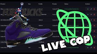 How did Cyber do today? Jordan 5 Grapes Live Cop | Easy Cyber AIO Checkouts