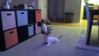 Soldier and D.Va Playing