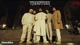 Triston – Fuerza Regida [Video Visualize]