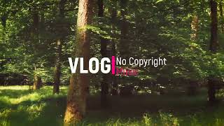MBB - Feel Good no copyright background music (Vlog No Copyright Music)