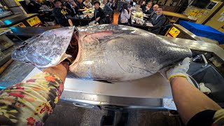 POV: Tuna Master Fillets a Giant Tuna Right in Front of You