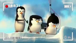 Eritrean Animation Pinguin  ኤርትራ ኣኒመሺን ፒንግዊን 2021