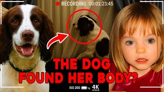 Madeleine McCann: The Dog’s Explosive Discovery That Changes EVERYTHING||  True Crime.