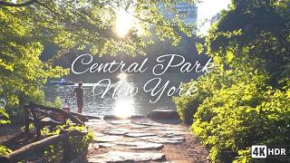 Golden Hour in Central Park 🌳 A Relaxing Walk in New York [4K]