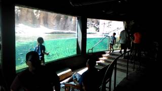 San Antonio Zoo