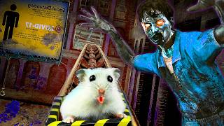 Minecraft Maze Challenge! 🐹 Hamster Battles Zombies & Rides on crazy Roller Coaster! 🎢🔥 Must See!