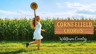🩹 Country Music for Emotional Resets – Wildflower Essentials