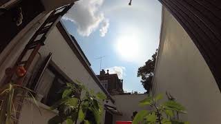 Sun, clouds, leaves