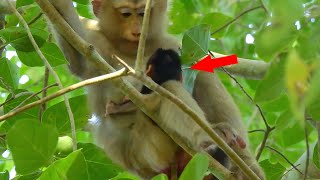 Young Mom Rose Give Birth The First Baby She Doesn't Have Experience  Take Care  Her Baby.