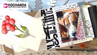 Elizabeth Craft Designs Sidekick Essentials Collection Live on Hochanda!