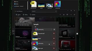 Lively Wallpaper v2.1 Highlight: New File Selector