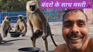 Bandaro Ko Anaj Khilaya.