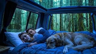 Relaxing Rain on Car Window ASMR ⛈️ Sleeping in Van Deep in the Woods with Golden Retriever 🌲